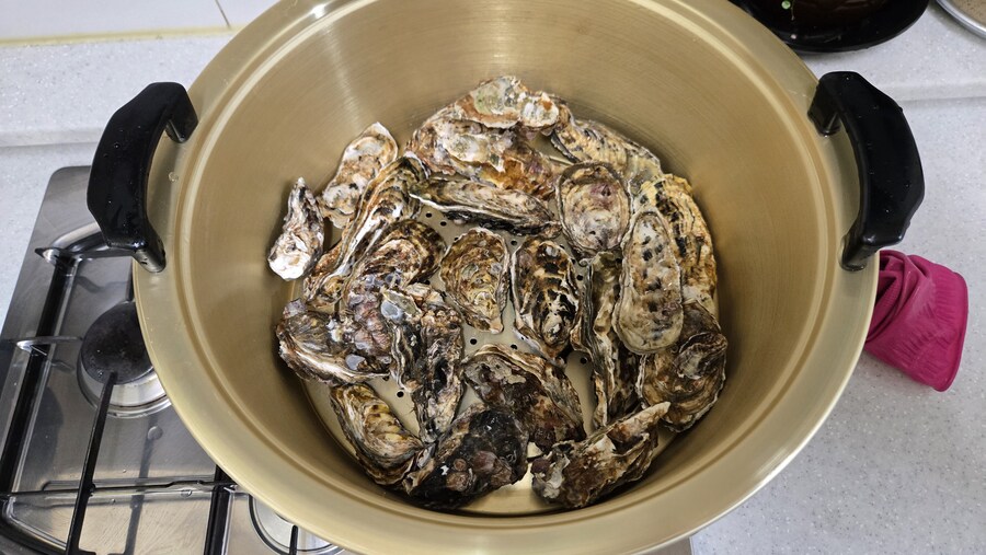 야옹이랑 먹는 석화가리비찜_14.jpg