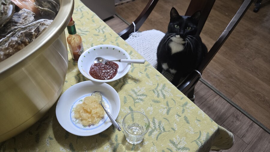 야옹이랑 먹는 석화가리비찜_22.jpg