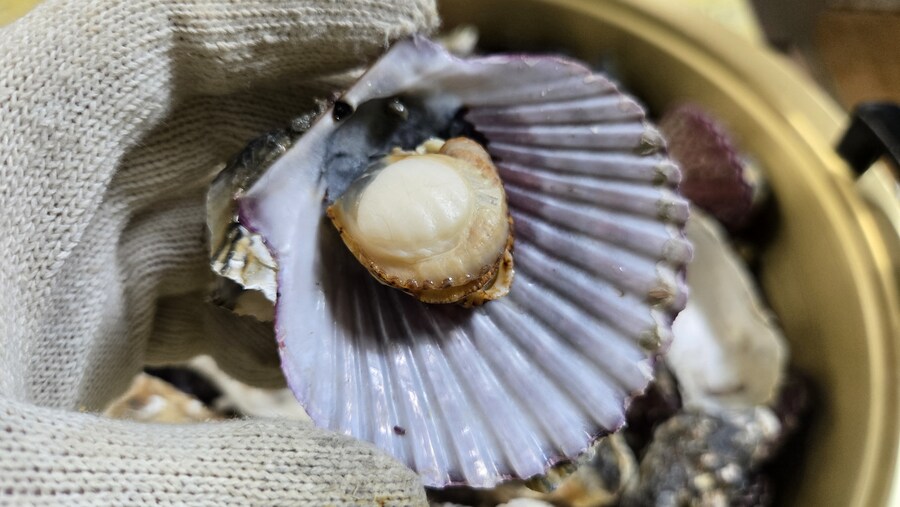 야옹이랑 먹는 석화가리비찜_29.jpg