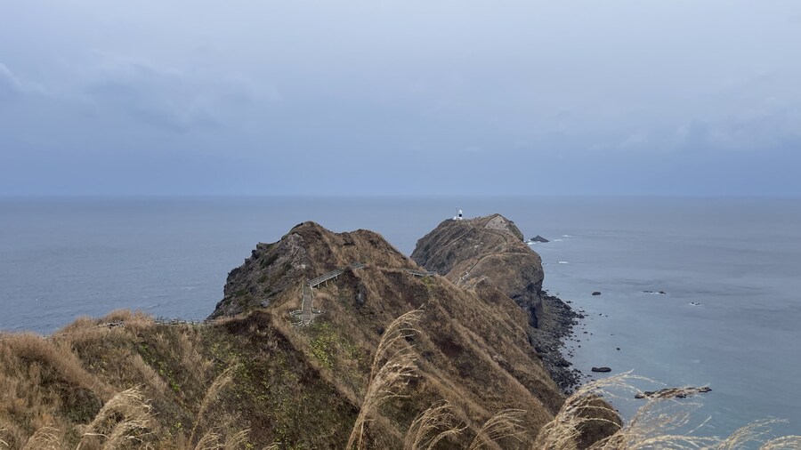 음식사진과 풍경사진 모음_31.jpg