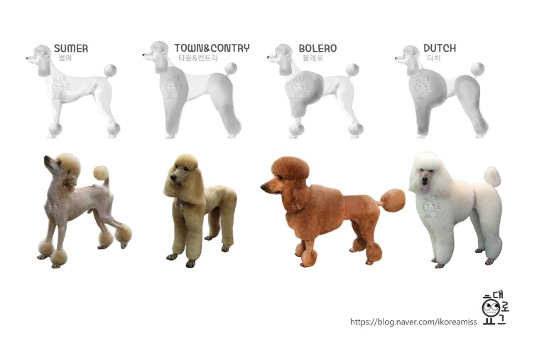 [데빌냐] 강아지 미용 내용 확인의 건_1.png