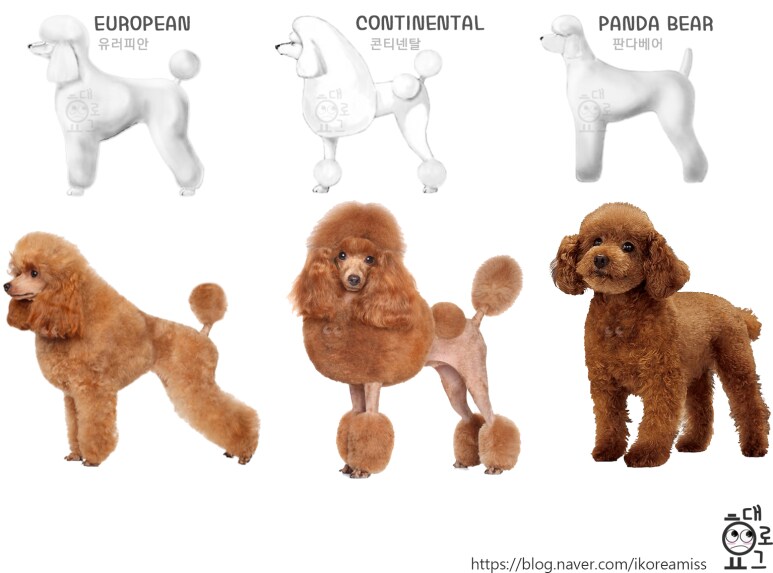 [데빌냐] 강아지 미용 내용 확인의 건_3.png