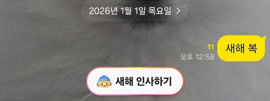 카카오톡 근황.jpg_1.jpg