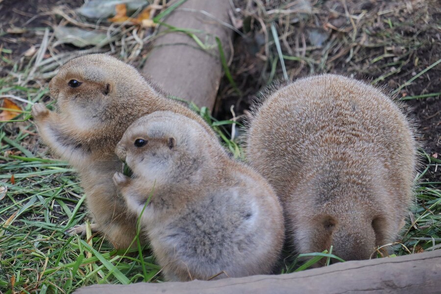 ???: 극장에서 영화를 왜 봄?.movie_5.jpg