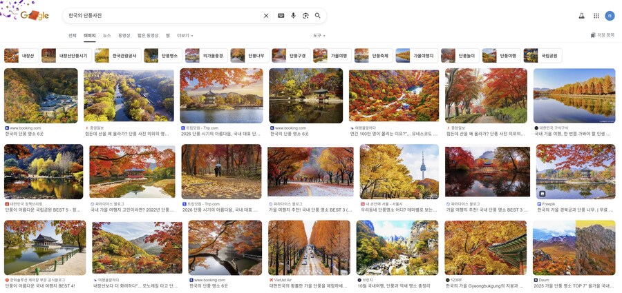 의외로 우리나라가 단풍 맛집이었네_4.png