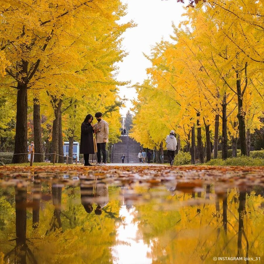 의외로 우리나라가 단풍 맛집이었네_2.jpg