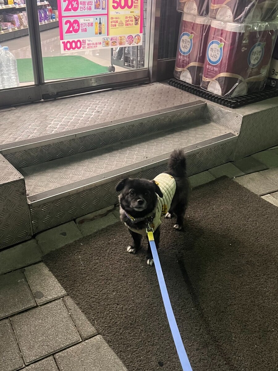 편의점에서 고구마 파는걸 개가 알게하면 안되는 이유_4.jpg