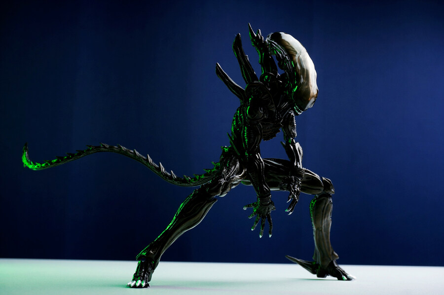 스압)2025년에 찍은 피규어 사진들 모음집_169.jpg