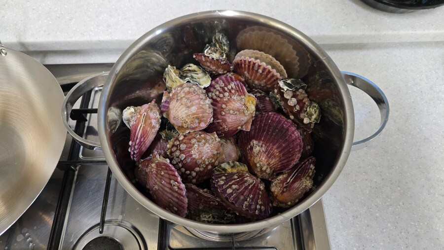 야옹이랑 먹는 가리비새우버터볶음_3.jpg