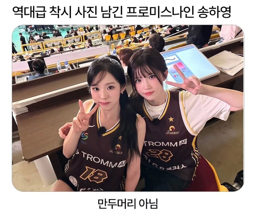 만두머리 착시.jpg_1.jpg