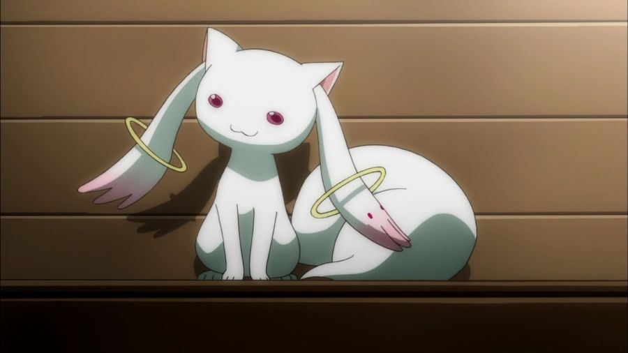 [마도카 외] 엔비 VS 큐베의 2026년 새해 인사_2.jpg