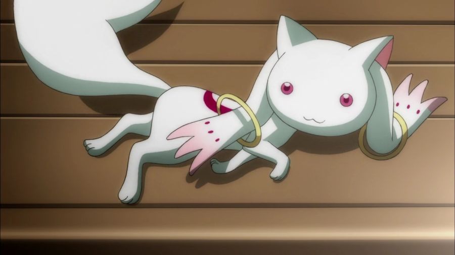 [마도카 외] 엔비 VS 큐베의 2026년 새해 인사_8.jpg