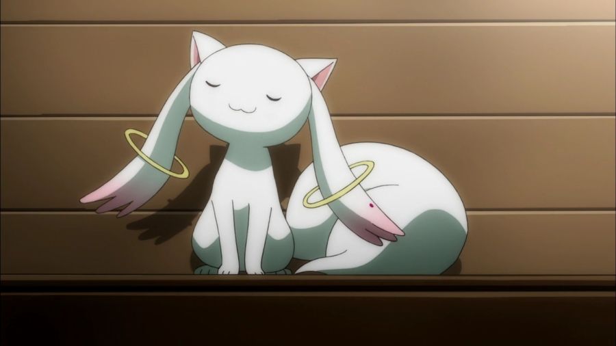 [마도카 외] 엔비 VS 큐베의 2026년 새해 인사_17.jpg