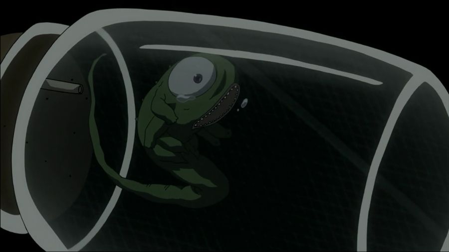 [마도카 외] 엔비 VS 큐베의 2026년 새해 인사_52.jpg