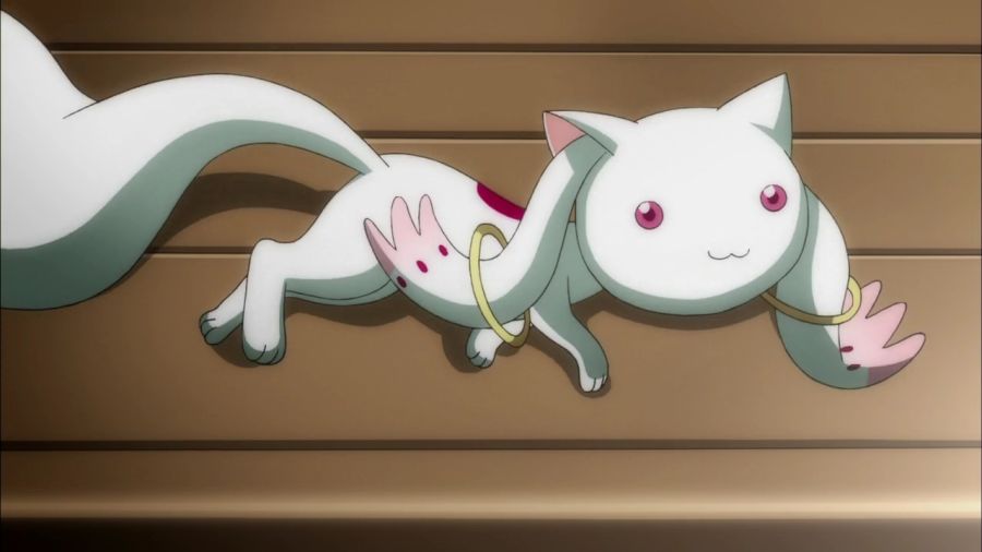 [마도카 외] 엔비 VS 큐베의 2026년 새해 인사_4.jpg