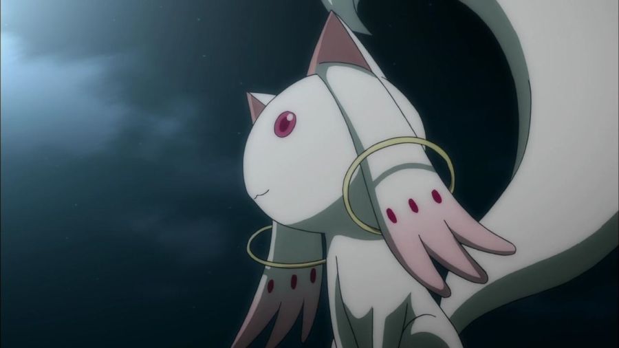 [마도카 외] 엔비 VS 큐베의 2026년 새해 인사_48.jpg