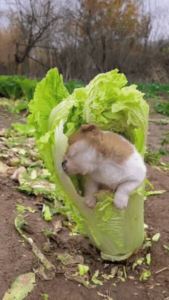 블루아카) 금단의 기술을 발명한 엔지니어부_4.jpg