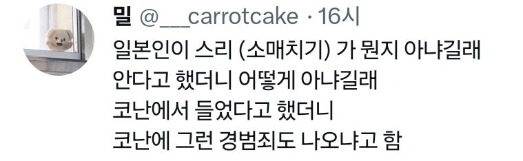 일본인 : 스리(소매치기)가 뭔지 아냐?_1.jpg