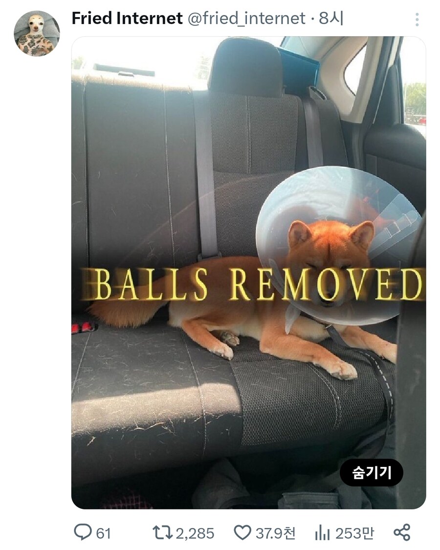 트위터의 민감한 콘텐츠.jpg_3.png