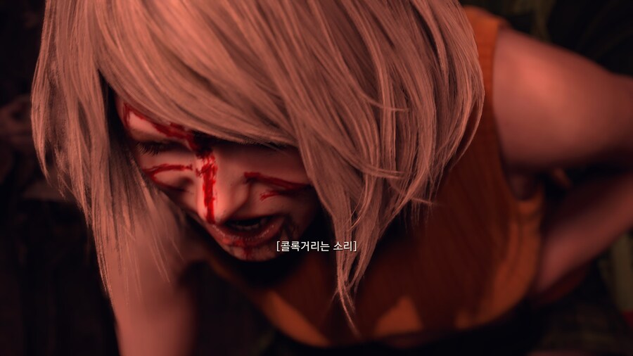 바이오하자드 RE:4_20.jpg