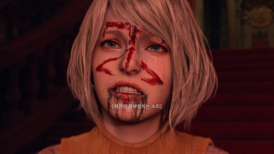 바이오하자드 RE:4_23.jpg