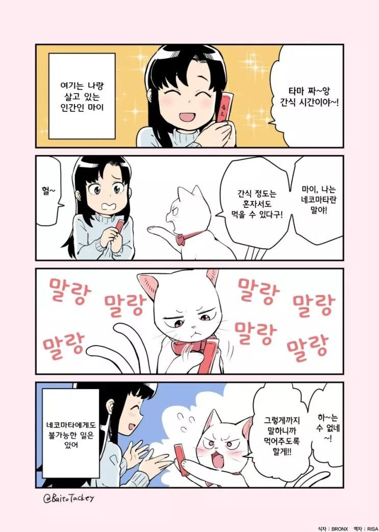 꼬리 둘 달린 고양이 만화_2.jpg