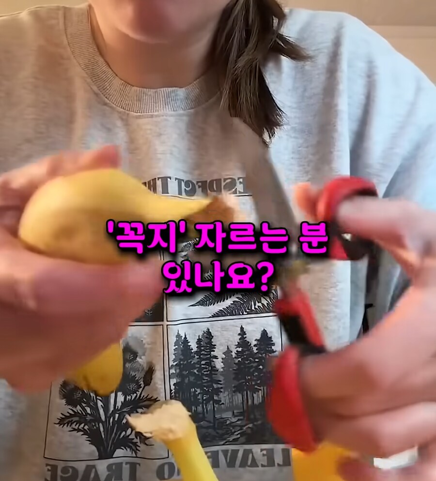 바나나만 사오면 집에 초파리가 나오는 이유.JPG_3.png