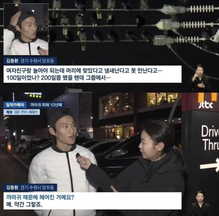 수원 까마귀떼 최대 피해자_1.jpg