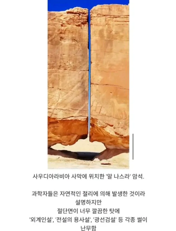 과학자들이 사실을 알려줘도 안 믿음ㅋㅋㅋㅋ.jpg_2.webp