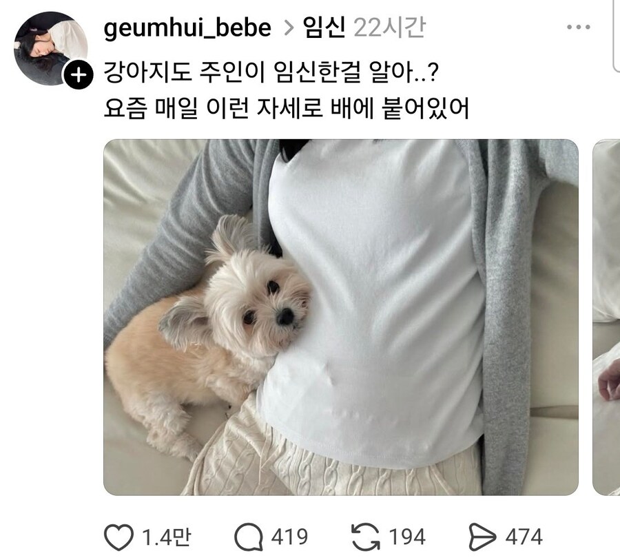 강아지도 주인이 임신한걸 알아..?_2.jpg