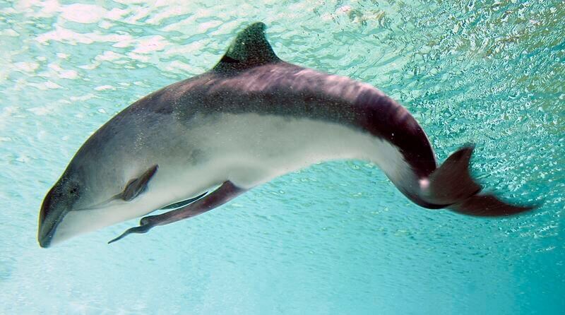 "혹시 대서양이 어느 방향인지 아시나요?"_1.jpg