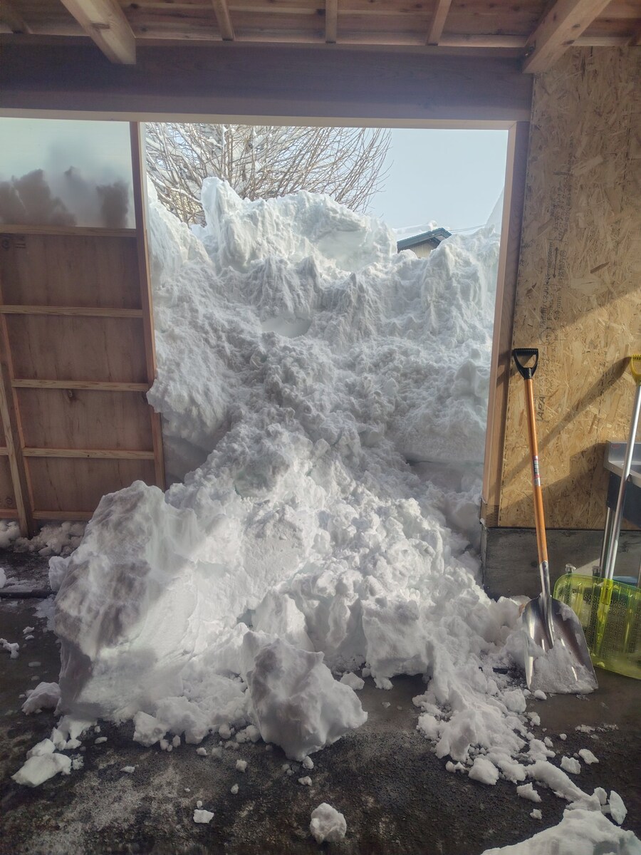 현관에 찾아온 손님.jpg_1.jpg