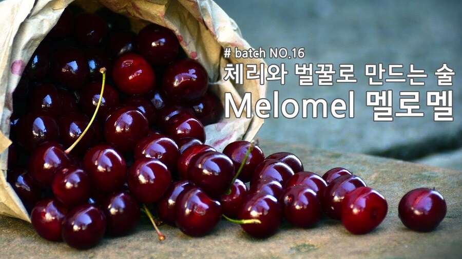 벌꿀주도 벌꿀주 나름임_1.jpg