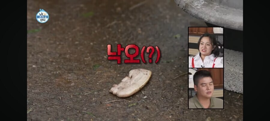 기안84 강인한 면역력의 비밀.jpg_1.jpg