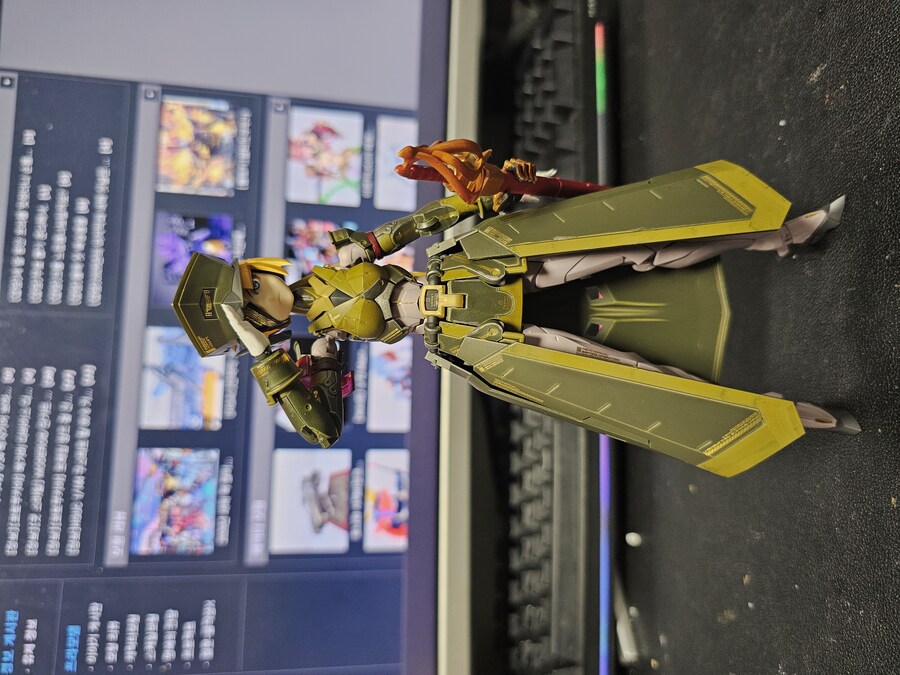 메갈로마리아 '인비질레이터'_1.jpg