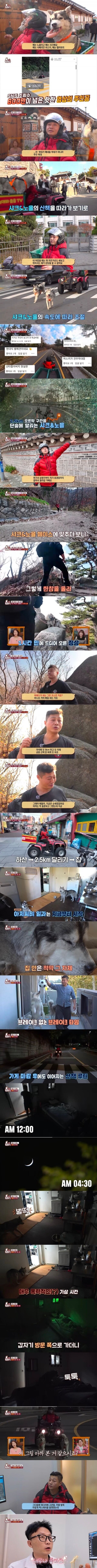 학대 논란이 있는 허스키 견주_1.jpg