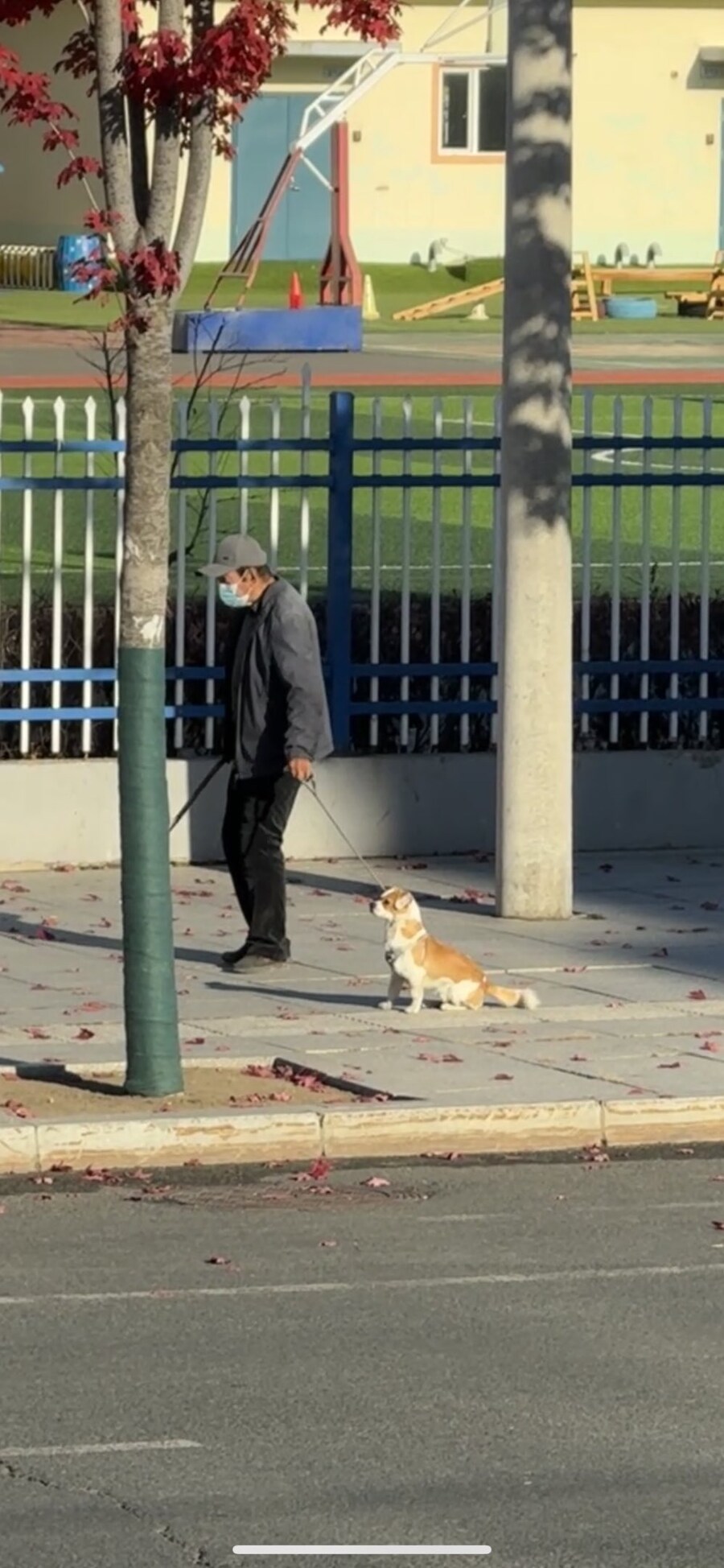 다리가 불편한 할아버지와 산책하는 강아지_1.jpg
