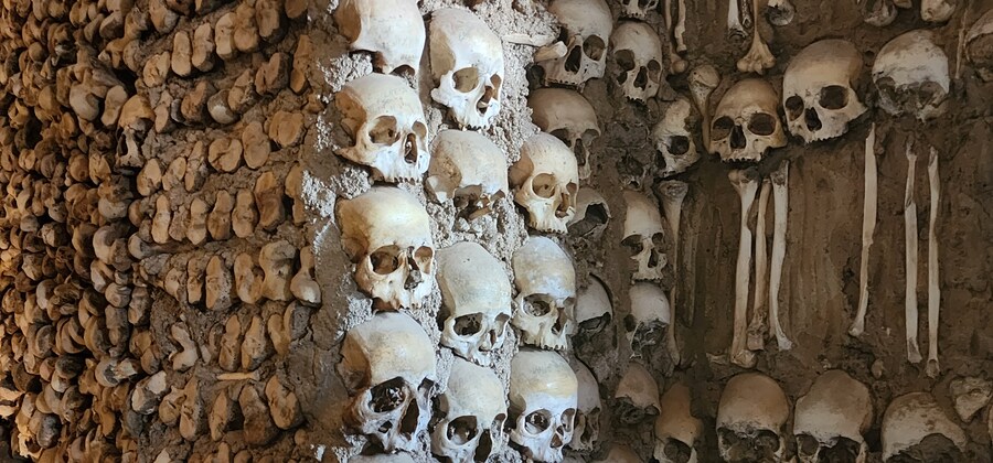 의외로 중세 교회는 해부를 금지시킨 적이 없음_1.jpg