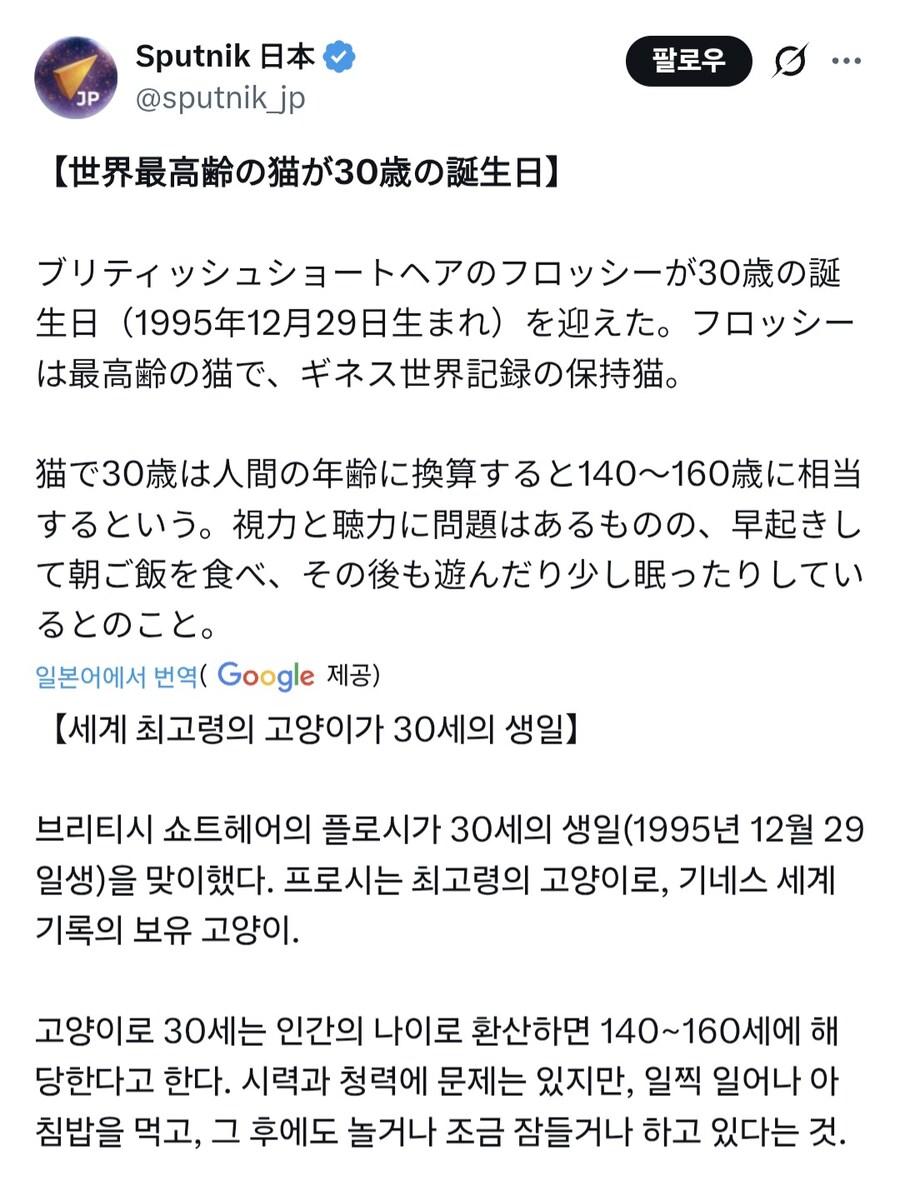 어떤 고양이의 30살 생일.jpg_1.jpg