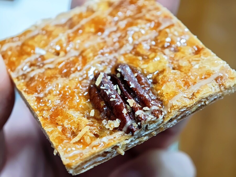 엘리게이터, 밤만쥬_6.jpg