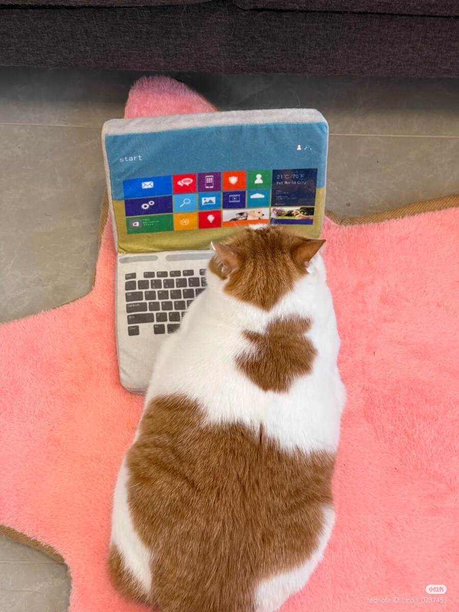 노트북? 쓸 줄 몰라_1.jpg