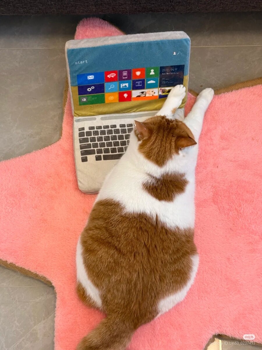 노트북? 쓸 줄 몰라_2.jpg