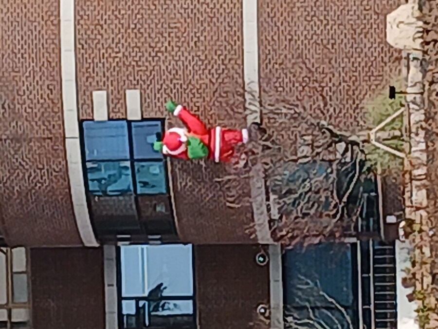 "살려줘! 이새X기들아!!"_1.jpg