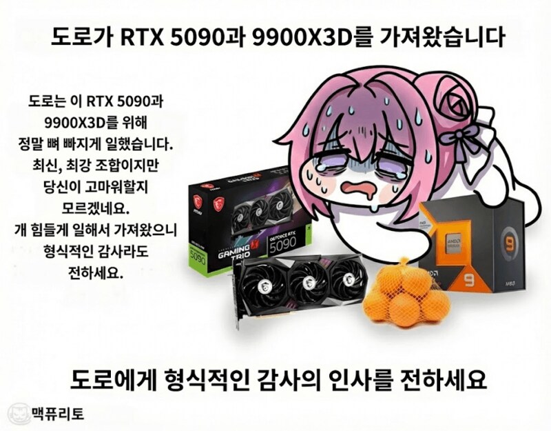 도로롱이 5090 과 9800 을 가져왔습니다_1.png