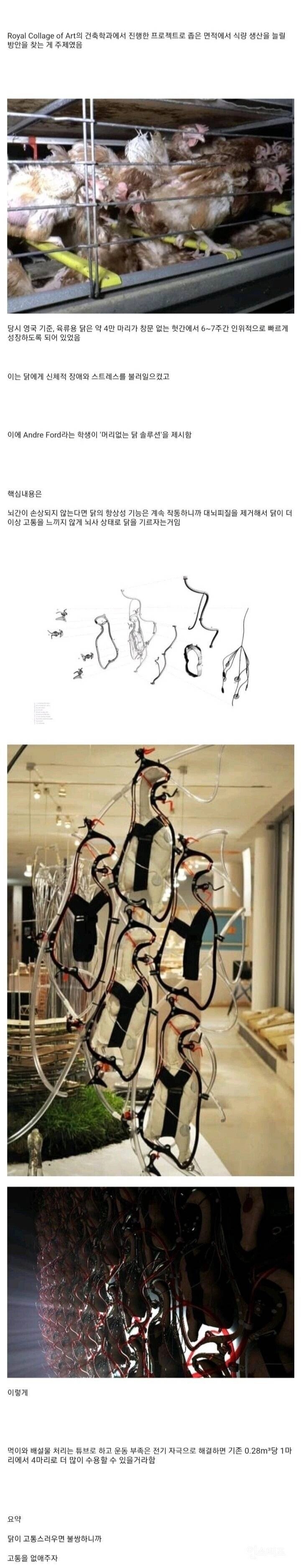 궁극의 동물복지 양계장_1.jpg