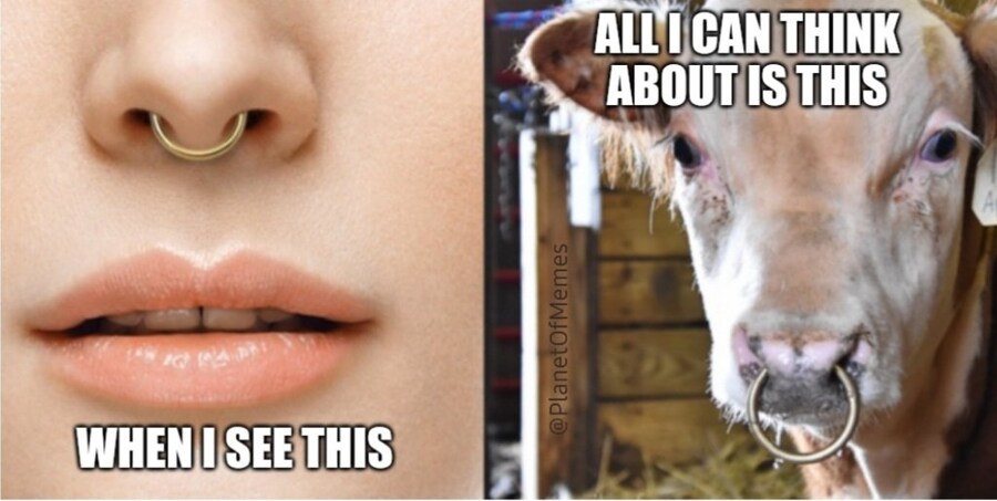 [약혐] 서양에서도 불호인 사람 엄청 많은 거.jpg_3.jpg