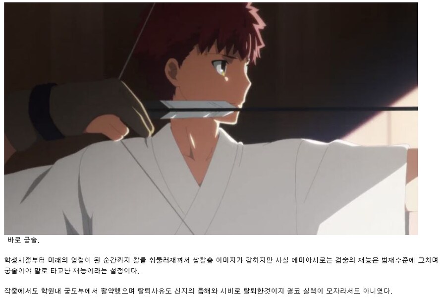 FATE)투영마술말고 에미야 시로의 진짜 재능중 하나인 것_2.png