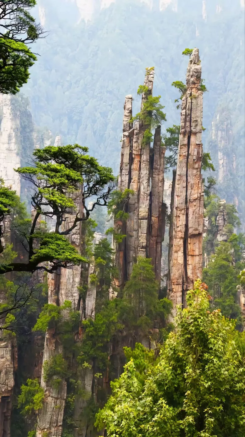 [요모] 실제 고객 후기 인증! 장가계 가족여행 83만원 #부산출발_8.webp