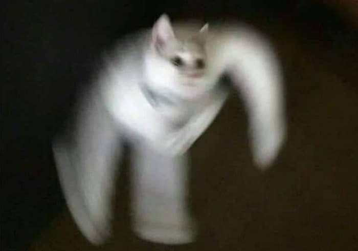 부탁) 덴마 글을 멈춰 주십시오._1.jpg