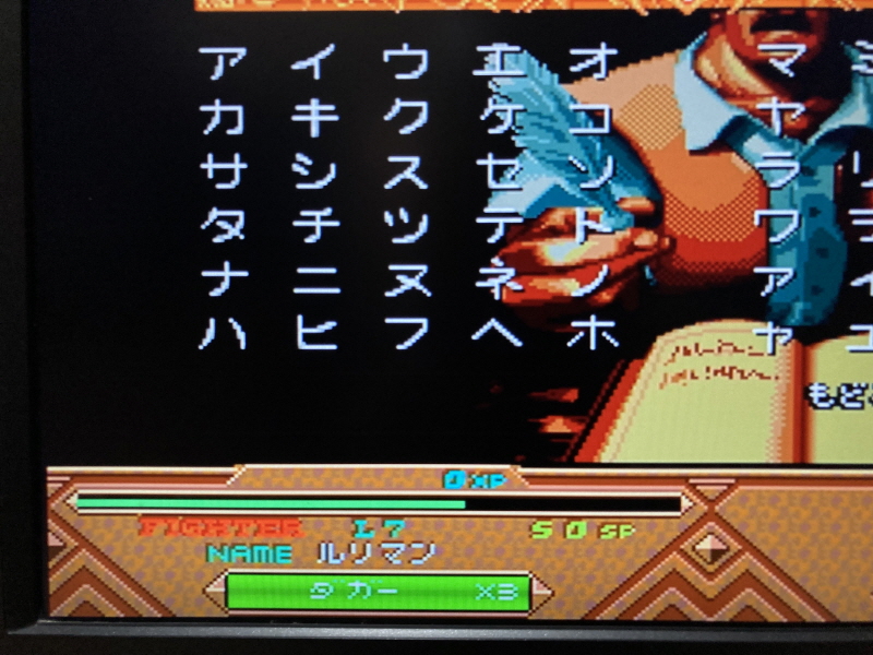 던전 앤 드래곤 콜렉션 (ダンジョンズ&ドラゴンズ コレクション)_75.jpg